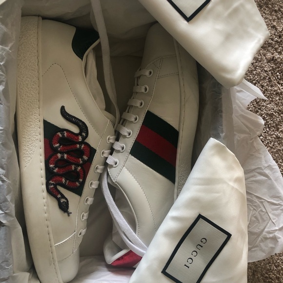 Gucci Ace Snake Embroidered Sneakers - Picture 6 of 10